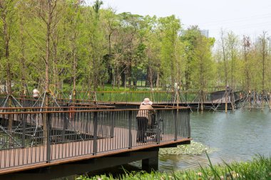 Shenzhen, Çin - 9 Nisan 2025: Shenzhen, Çin 'deki Hollanda Çiçek Kasabası' nda göl boyunca yürüyüş. Eğlence, popüler bilim, sergiler ve ticaretin birleştiği eşsiz bir park..