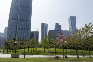 Shenzhen, China- 9 Nisan 2025 Shenzhen Talent 's Park' tan Shenzhen 'in ufuk çizgisi. Shenzhen şu anda Çin 'de 200 ve 300 metre yüksekliğindeki en yüksek gökdelenlere sahip.