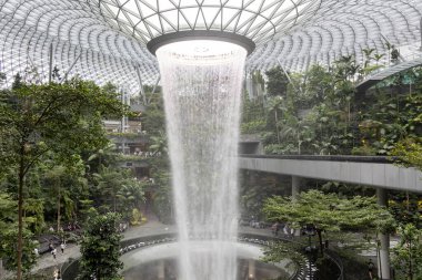 Singapur - 8 Nisan 2025: Dünyanın en uzun kapalı şelalesi, Yağmur Girdabı, Changi Jewel, Singapur 'da bir teras ormanı ile çevrili..