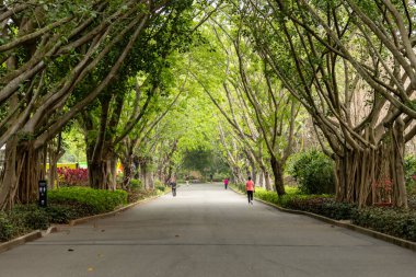 Shenzhen, Çin - 10 Nisan 2025 Shenzhen, Çin 'deki Lianhuashan Parkı. Lianhuashan Park bir merkez dağ parkı, yürüyüş yolları ve çarpıcı şehir manzaralı bir izleme platformu sunuyor.