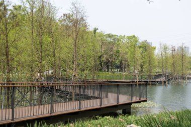 Shenzhen, Çin - 9 Nisan 2025: Shenzhen, Çin 'deki Hollanda Çiçek Kasabası' nda göl boyunca yürüyüş. Eğlence, popüler bilim, sergiler ve ticaretin birleştiği eşsiz bir park..