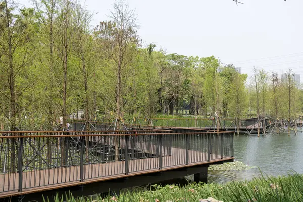 Shenzhen, Çin - 9 Nisan 2025: Shenzhen, Çin 'deki Hollanda Çiçek Kasabası' nda göl boyunca yürüyüş. Eğlence, popüler bilim, sergiler ve ticaretin birleştiği eşsiz bir park..