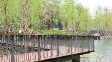 Shenzhen, Çin - 9 Nisan 2025: Shenzhen, Çin 'deki Hollanda Çiçek Kasabası' nda göl boyunca yürüyüş. Eğlence, popüler bilim, sergiler ve ticaretin birleştiği eşsiz bir park..