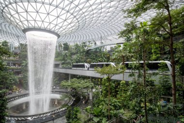 Singapur - 8 Nisan 2025: Dünyanın en uzun kapalı şelalesi, Yağmur Girdabı, Changi Jewel, Singapur 'da bir teras ormanı ile çevrili..