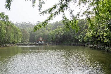 Shenzhen, Çin - 13 Nisan 2025: Shenzhen, Çin 'deki Xianhu Botanik Bahçesinin güzel manzarası. Burası modern Shenzhen şehrinin en iyi turistik beldelerinden biridir.