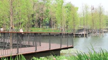 Shenzhen, Çin - 9 Nisan 2025: Shenzhen, Çin 'deki Hollanda Çiçek Kasabası' nda göl boyunca yürüyüş. Eğlence, popüler bilim, sergiler ve ticaretin birleştiği eşsiz bir park..
