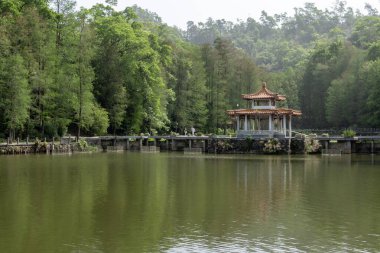 Shenzhen, Çin - 13 Nisan 2025: Shenzhen, Çin 'deki Xianhu Botanik Bahçesinin güzel manzarası. Burası modern Shenzhen şehrinin en iyi turistik beldelerinden biridir.