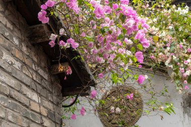 Çin 'in Shenzhen kentindeki Gankeng Antik Kenti' nin manzarası. 300 yıllık geçmişi olan bir Hakka köyü..