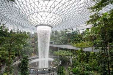 Singapur - 8 Nisan 2025: Dünyanın en uzun kapalı şelalesi, Yağmur Girdabı, Changi Jewel, Singapur 'da bir teras ormanı ile çevrili..