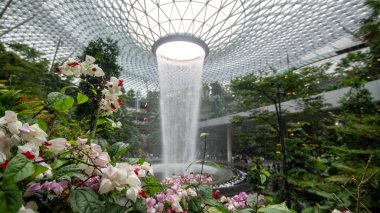Singapur - 8 Nisan 2025: Dünyanın en uzun kapalı şelalesi, Yağmur Girdabı, Changi Jewel, Singapur 'da bir teras ormanı ile çevrili..