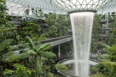 Singapur - 8 Nisan 2025: Dünyanın en uzun kapalı şelalesi, Yağmur Girdabı, Changi Jewel, Singapur 'da bir teras ormanı ile çevrili..
