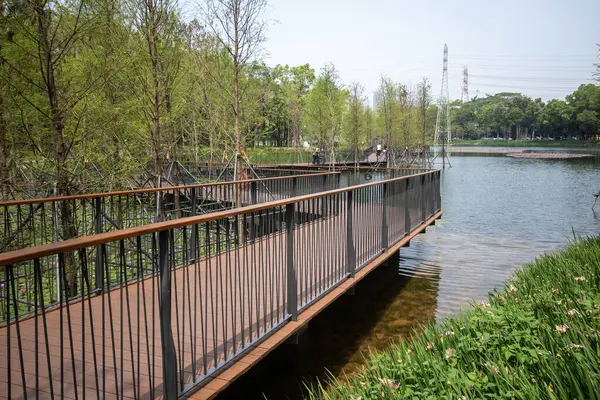 Shenzhen, Çin - 9 Nisan 2025: Shenzhen, Çin 'deki Hollanda Çiçek Kasabası' nda göl boyunca yürüyüş. Eğlence, popüler bilim, sergiler ve ticaretin birleştiği eşsiz bir park..