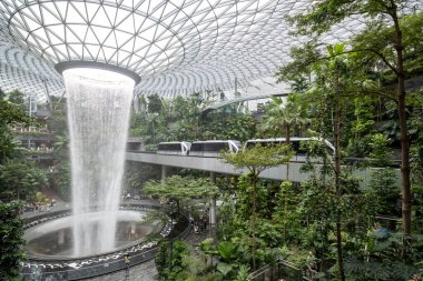 Singapur - 8 Nisan 2025: Dünyanın en uzun kapalı şelalesi, Yağmur Girdabı, Changi Jewel, Singapur 'da bir teras ormanı ile çevrili..