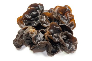 Çin Siyah Mantarı beyaz arka planda izole edildi. Çin mutfağında popüler bir malzemedir.