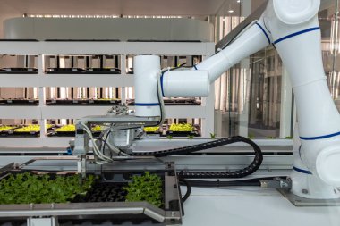 Tam otomatikleştirilmiş tohumlama, fidanlık ve hasat ile akıllı robot çiftçileri kavramı. Tarım teknolojisi