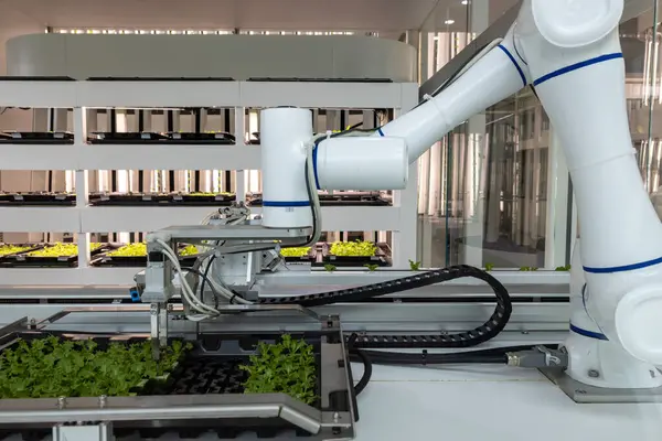 Tam otomatikleştirilmiş tohumlama, fidanlık ve hasat ile akıllı robot çiftçileri kavramı. Tarım teknolojisi