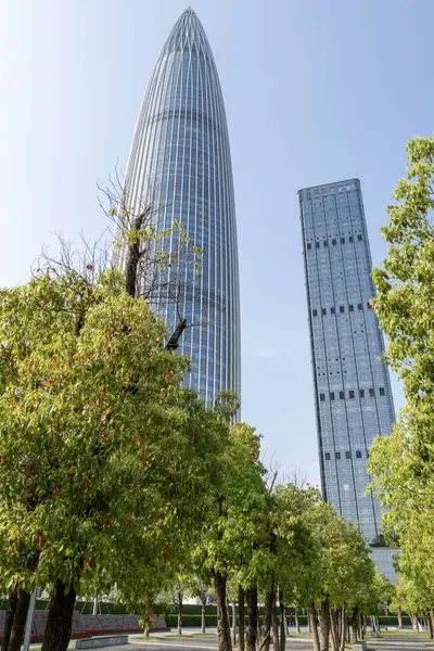 Shenzhen, China- 9 Nisan 2025 Shenzhen Talent 's Park' tan Shenzhen 'in ufuk çizgisi. Shenzhen şu anda Çin 'de 200 ve 300 metre yüksekliğindeki en yüksek gökdelenlere sahip.