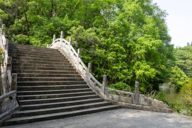 Shenzhen, Çin 'deki Xianhu Botanik Bahçesi' nin güzel manzarası. Burası modern Shenzhen şehrinin en iyi turistik beldelerinden biridir.