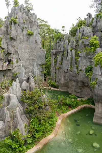 Singapur 24 Nisan 2025: Singapur 'da Yağmur Ormanı Vahşi Asya Karstları. Burası Asyalıların ilk vahşi yaşam macera parkı.