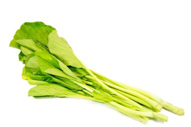 Yeşil ve taze Choy Sum beyaz arka planda izole edilmiş. Bir çeşit Çin yaprağı yeşili sebzedir.
