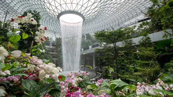 Singapur - 8 Nisan 2025: Dünyanın en uzun kapalı şelalesi, Yağmur Girdabı, Changi Jewel, Singapur 'da bir teras ormanı ile çevrili..