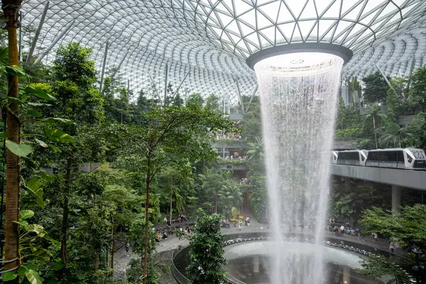 Singapur - 8 Nisan 2025: Dünyanın en uzun kapalı şelalesi, Yağmur Girdabı, Changi Jewel, Singapur 'da bir teras ormanı ile çevrili..