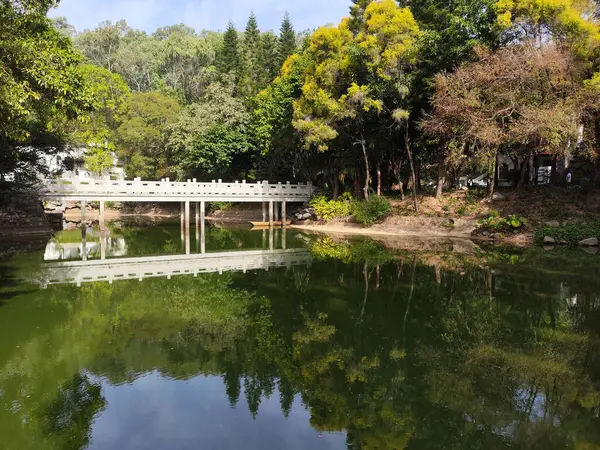 Shenzhen, Çin - 14 Nisan 2025 Shenzhen Uluslararası Bahçe ve Çiçek Fuarı Parkı, Shenzhen, Çin. Parkta zengin çiçek manzaralı geleneksel Çin mimari tarzları yer alıyor.