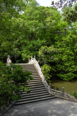 Shenzhen, Çin 'deki Xianhu Botanik Bahçesi' nin güzel manzarası. Burası modern Shenzhen şehrinin en iyi turistik beldelerinden biridir.
