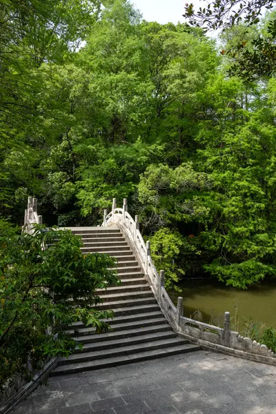 Shenzhen, Çin 'deki Xianhu Botanik Bahçesi' nin güzel manzarası. Burası modern Shenzhen şehrinin en iyi turistik beldelerinden biridir.