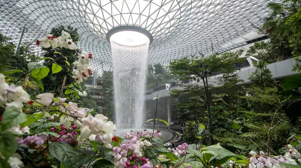 Singapur - 8 Nisan 2025: Dünyanın en uzun kapalı şelalesi, Yağmur Girdabı, Changi Jewel, Singapur 'da bir teras ormanı ile çevrili..