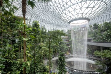 Singapur - 8 Nisan 2025: Dünyanın en uzun kapalı şelalesi, Yağmur Girdabı, Changi Jewel, Singapur 'da bir teras ormanı ile çevrili..