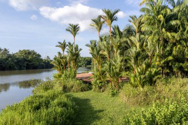 Singapur-7 Haziran 2025: Singapur 'un batısındaki Jurong Lake Gardens' ta Rasau Broadwalk.