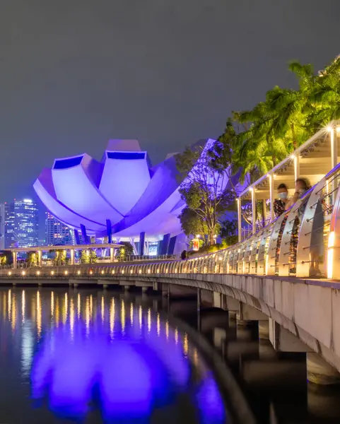 Singapur-4 Haziran 2025: Gece Singapur 'daki Sanat Bilimleri Müzesi. Sergide sanat, bilim, kültür ve teknolojinin harmanlandığı büyük sergiler yer alıyor.