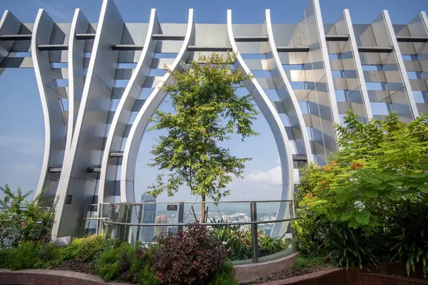 Singapur-4 Haziran 2025: Singapur 'daki CapitaSpring Binası' nın çatı bahçesi. Bir gözlemevi güvertesi ve bir çatı bahçesi içerir..