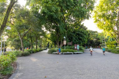Singapur-7 Haziran 2025: Singapur 'un batısındaki Jurong Lake Gardens manzarası. Jurong Lake Gardens üç bahçeden oluşur: Lakeside Garden, Çin Bahçesi ve Japon Bahçesi.