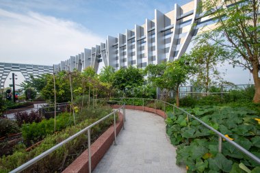 Singapur-4 Haziran 2025: Singapur 'daki CapitaSpring Binası' nın çatı bahçesi. Bir gözlemevi güvertesi ve bir çatı bahçesi içerir..