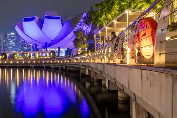 Singapur-4 Haziran 2025: Gece Singapur 'daki Sanat Bilimleri Müzesi. Sergide sanat, bilim, kültür ve teknolojinin harmanlandığı büyük sergiler yer alıyor.