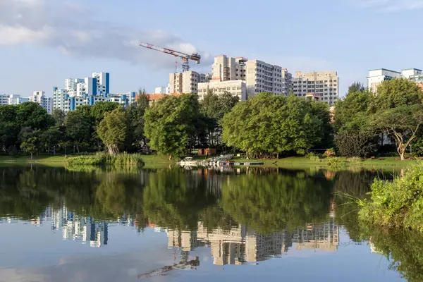 Singapur-7 Haziran 2025: Singapur 'un batı kesimindeki bir kamu parkı olan Jurong Lake Gardens' ın sabah manzarası. Arka plandaki konut binaları.