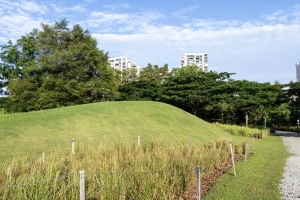 Singapur-7 Haziran 2025: Singapur 'un batısındaki Jurong Lake Gardens manzarası. Jurong Lake Gardens üç bahçeden oluşur: Lakeside Garden, Çin Bahçesi ve Japon Bahçesi.