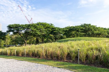 Singapur-7 Haziran 2025: Singapur 'un batısındaki Jurong Lake Gardens manzarası. Jurong Lake Gardens üç bahçeden oluşur: Lakeside Garden, Çin Bahçesi ve Japon Bahçesi.