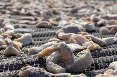 Sıcak güneşin altında kurutulmuş tuzlanmış balık. Bu rutubet içeriğini azaltan, mikrobiyal büyümeyi engelleyen ve bozulan geleneksel bir koruma metodudur.