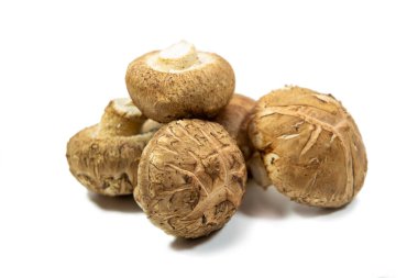 Beyaz arka planda izole edilmiş çiğ mantar. Shiitake mantarları iyi bir B vitamini ve D vitamini kaynağıdır.