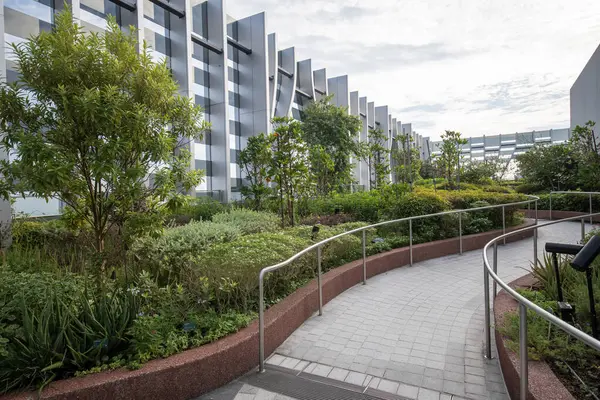Singapur-4 Haziran 2025: Singapur 'daki CapitaSpring Binası' nın çatı bahçesi. Bir gözlemevi güvertesi ve bir çatı bahçesi içerir..