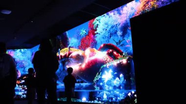 Singapur - 8 Ağustos 2025: İnsanlar Singapur Ulusal Müzesi 'ndeki Singapur Odyssea' yi ziyaret ediyor. Ziyaretçilerin tarihe geçmesine ve bu dijital serginin geçmişiyle etkileşime geçmesine izin verdi..