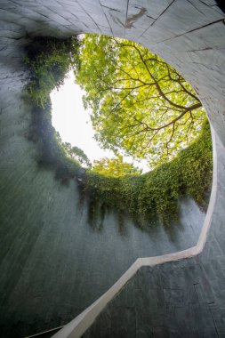 Singapur 'daki Fort Canning Ağaç Tüneli. Bu bir araç tüneli ve Singapur 'un merkez bölgesindeki ikonik fotoğraf noktalarından biri..