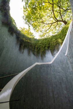 Singapur 'daki Fort Canning Ağaç Tüneli. Bu bir araç tüneli ve Singapur 'un merkez bölgesindeki ikonik fotoğraf noktalarından biri..