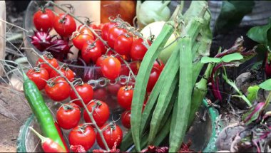 Çeşitli organik sebzeler ve domates, bamya ve biberli meyveler.