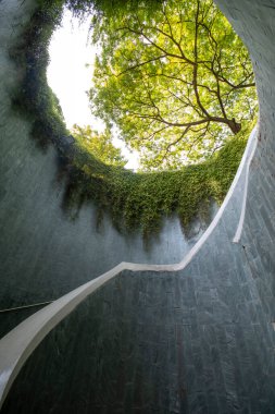 Singapur 'daki Fort Canning Ağaç Tüneli. Bu bir araç tüneli ve Singapur 'un merkez bölgesindeki ikonik fotoğraf noktalarından biri..