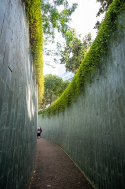 Singapur 'daki Fort Canning Parkı' nda güzel bir yürüyüş yolu. Fort Canning Parkı Singapur 'un en tarihi yerlerinden biridir.