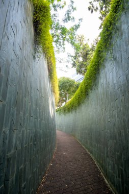 Singapur 'daki Fort Canning Parkı' nda güzel bir yürüyüş yolu. Fort Canning Parkı Singapur 'un en tarihi yerlerinden biridir.